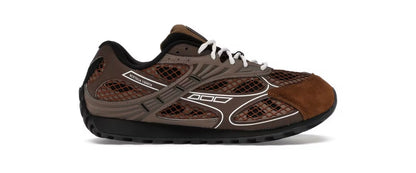 BV Orbit ‘Star Anise Pinecone’