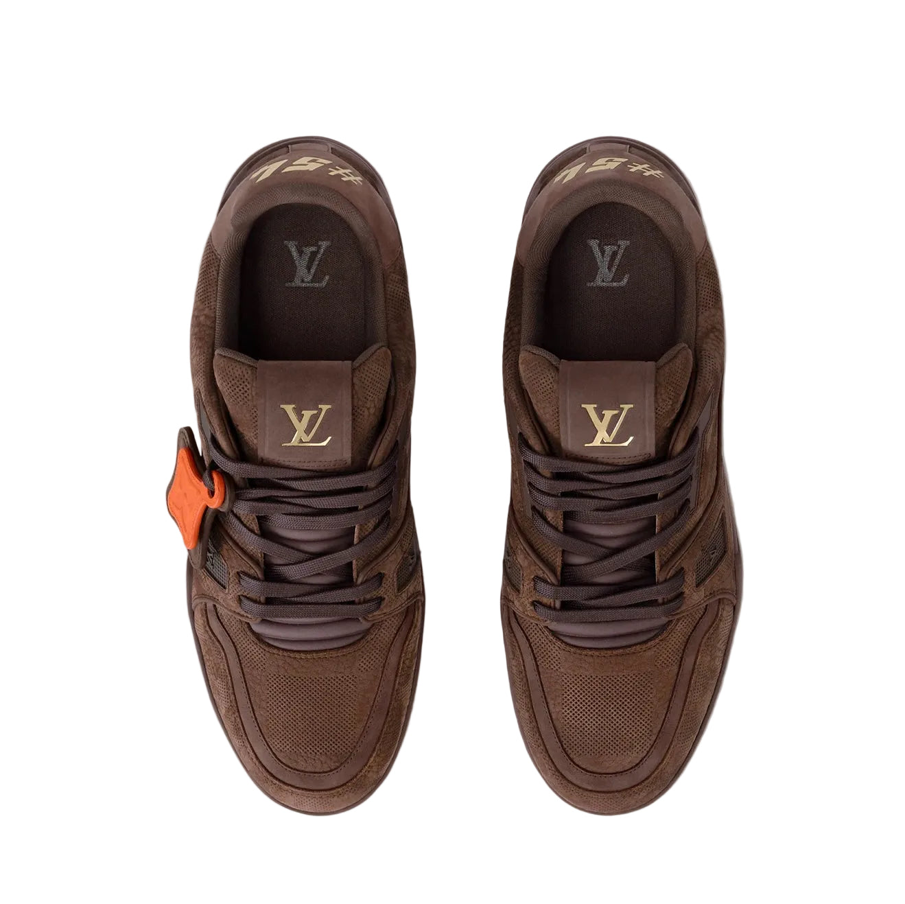 LV Trainer “Brown’