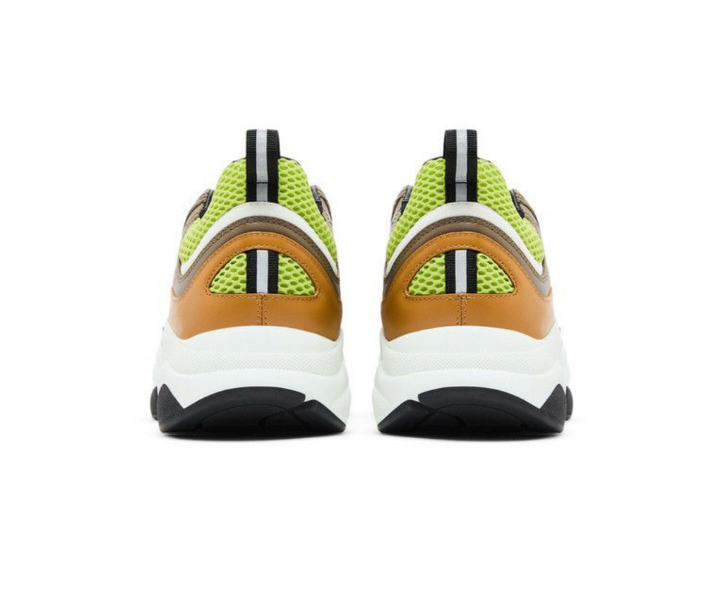 Dior
 B22 ‘Brown Lime Green’