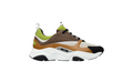 Dior
 B22 ‘Brown Lime Green’